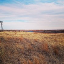 Landscape at the OAES field site