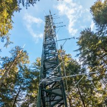 Wind River Tower in D16