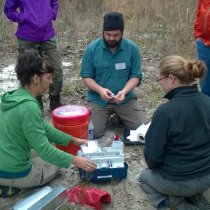 Small mammal sampling in Florida