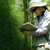 Field technician writing in field journal