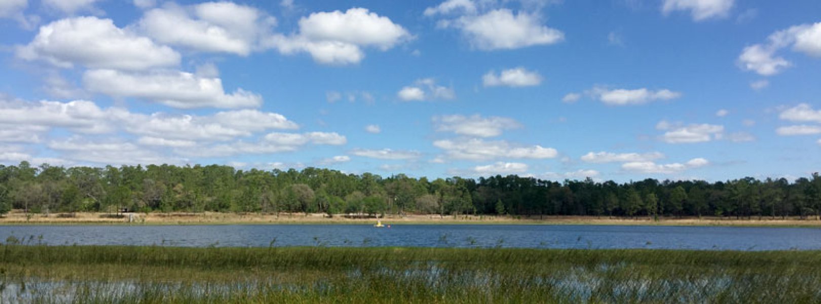 Buoy on the BARC lake site