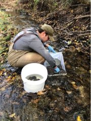 Macroinvertebrate sampling