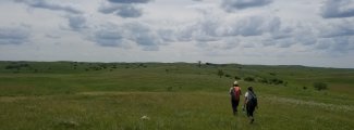 DCFS field scientists walking in the grass