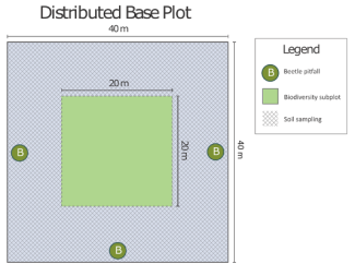 Graphic of ground beetle pitfall trap plot design