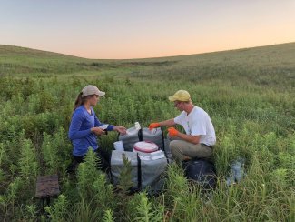 Small mammals sampling at KONZ