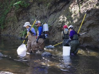 Field technicians conducting aquatic sampling