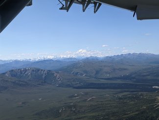 Denali seen from the AOP flight. 