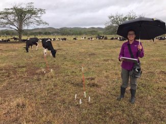 Wilmarie Plaza-Muniz doing LAJA plant phenology