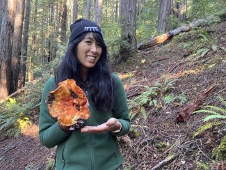 Qin with mushroom