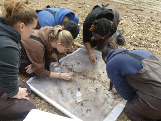 Students learn kick net sampling.