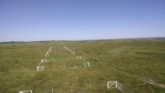 Soil plots at CPER