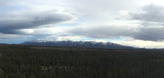 View from DEJU field site tower