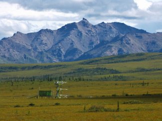 View of Mount Healy from HEAL field site