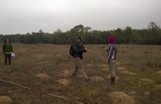 Soil Sampling in the Southeast Domain