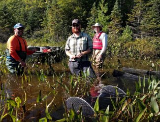 Passive fish sampling